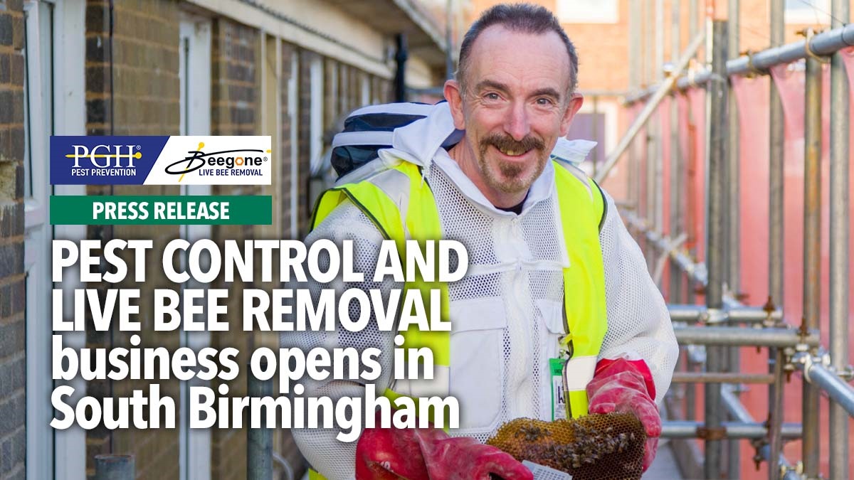 Pest control and live beeremoval business opens in South Birmingham Pest control and live beeremoval business opens in South Birmingham
